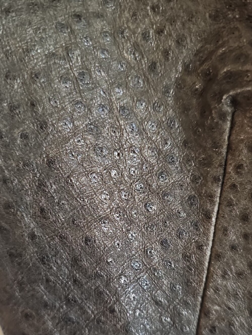 Vintage Ostrich Leather Vest With Silver Buttons - Picture 4 of 11